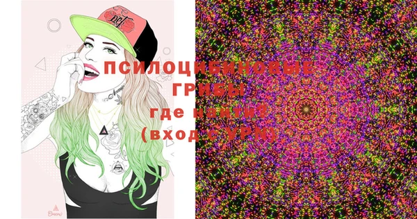 mix Богородицк
