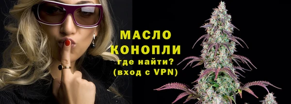 mix Богородицк