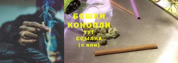 mix Богородицк