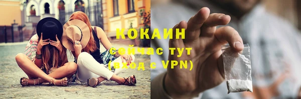 спиды Богданович