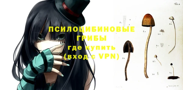 спиды Богданович