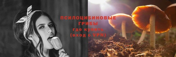 mix Богородицк