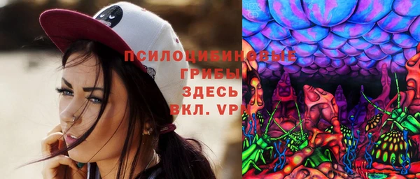 mix Богородицк