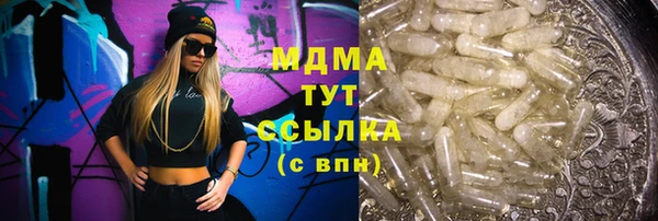 гидра Тайга