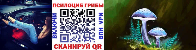 Галлюциногенные грибы Cubensis  Велиж 
