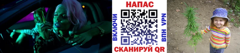 Марихуана планчик  как найти наркотики  blacksprut ТОР  Велиж 